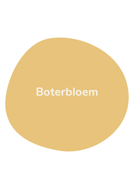 Kleurstaal Boterbloem